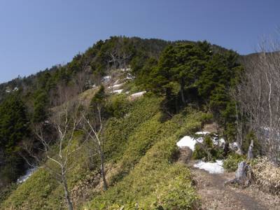 R0014884.jpg - 54,215Bytes