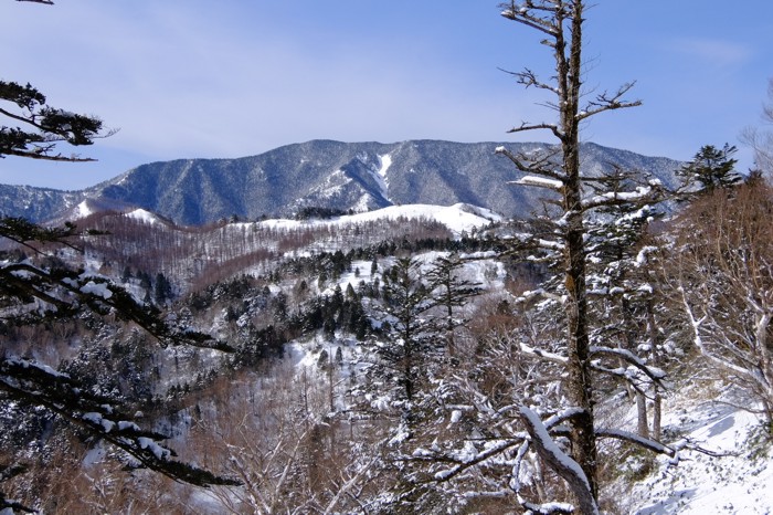 DSCF7415.JPG - 203,452Bytes