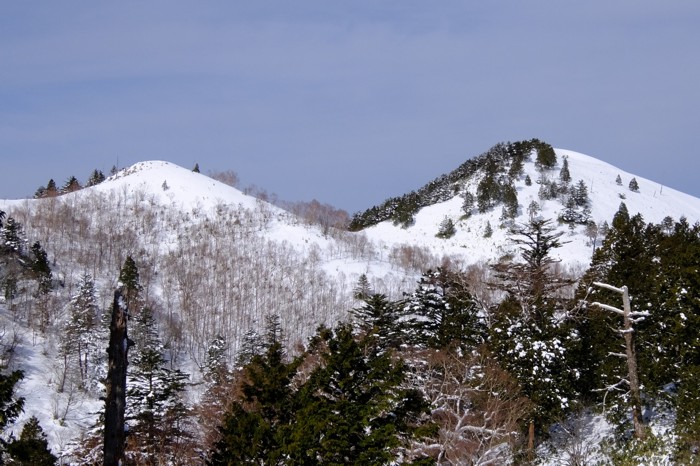 DSCF7419.JPG - 178,092Bytes