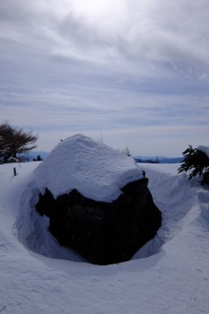 DSCF7443.JPG - 80,176Bytes