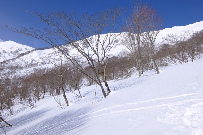 DSCF7701.JPG - 164,720Bytes