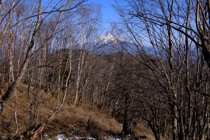 DSCF9162.JPG - 242,245Bytes