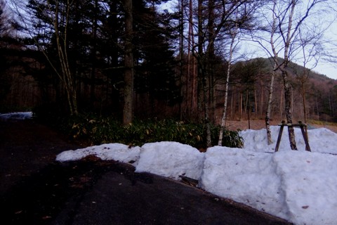 DSCF9508.JPG - 115,674Bytes