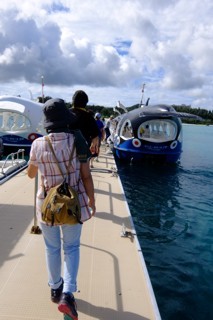 DSCF6650.JPG - 87,189Bytes