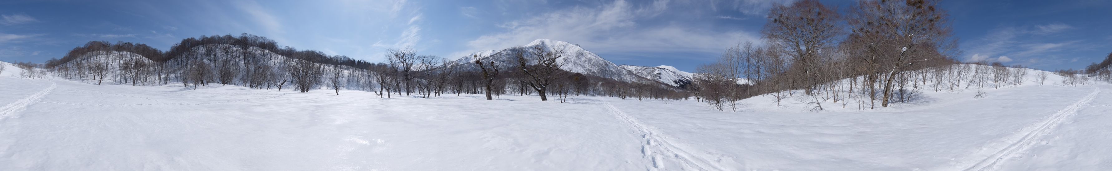 DSCF3230.jpg - 252,223Bytes