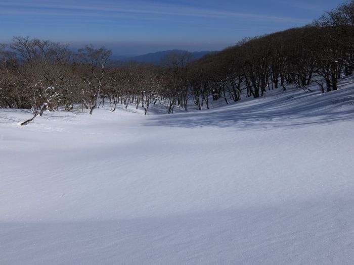 DSCF5732.jpg - 60,309Bytes
