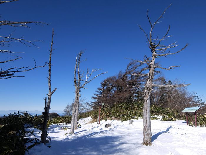 DSCF8051.jpg - 78,114Bytes