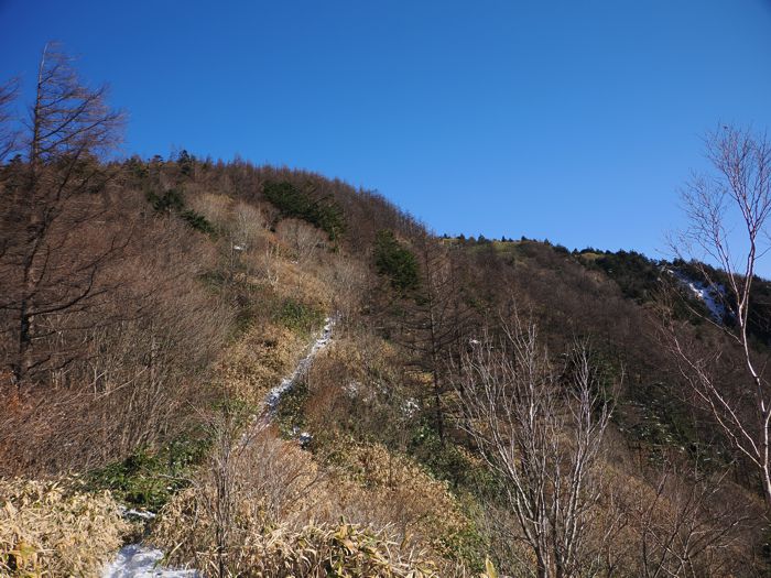 PC120104.jpg - 122,725Bytes