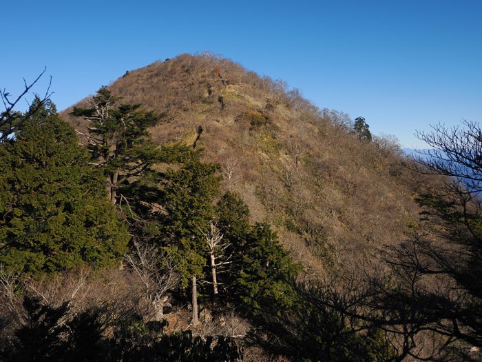 P1171946.jpg - 122,409Bytes
