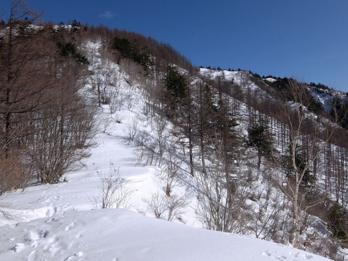 DSCF8598.jpg - 99,173Bytes