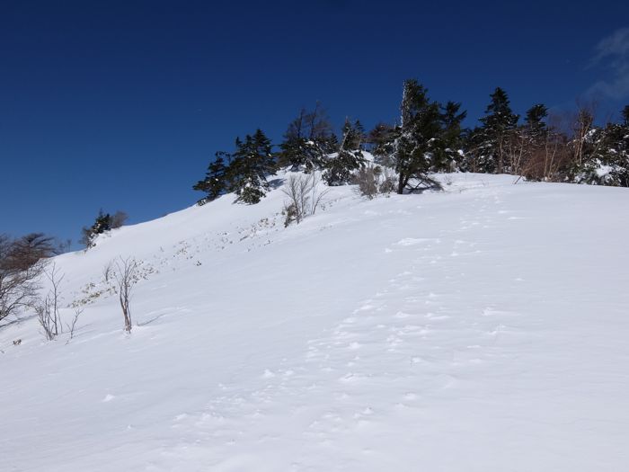 DSCF8632.jpg - 45,499Bytes