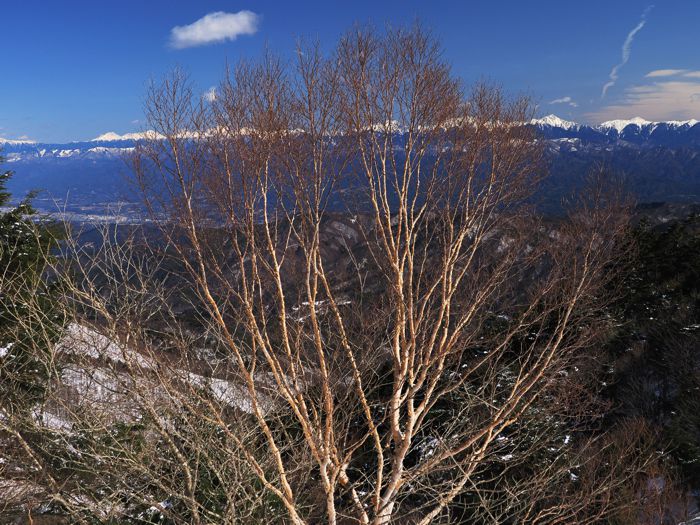 P2212785.jpg - 145,180Bytes